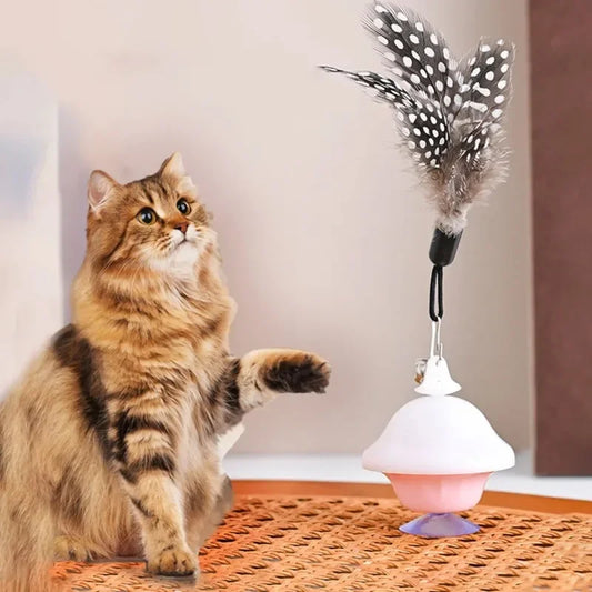 Interactive Cat Toys for Indoor Cats Feather Teaser Pet Toy for Cats Detachable Cat Toys Teaser Interactive Cat Toy for Indoor